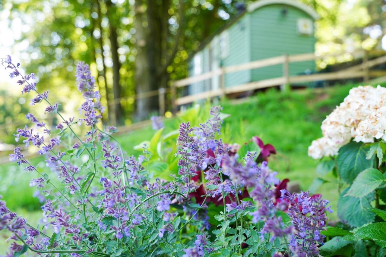 Гостьовий будинок Lavender Retreat With Private Hot Tub Upper Hulme Екстер'єр фото